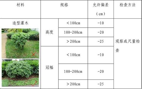 灌木種植密度|灌木种植密度怎么计算？